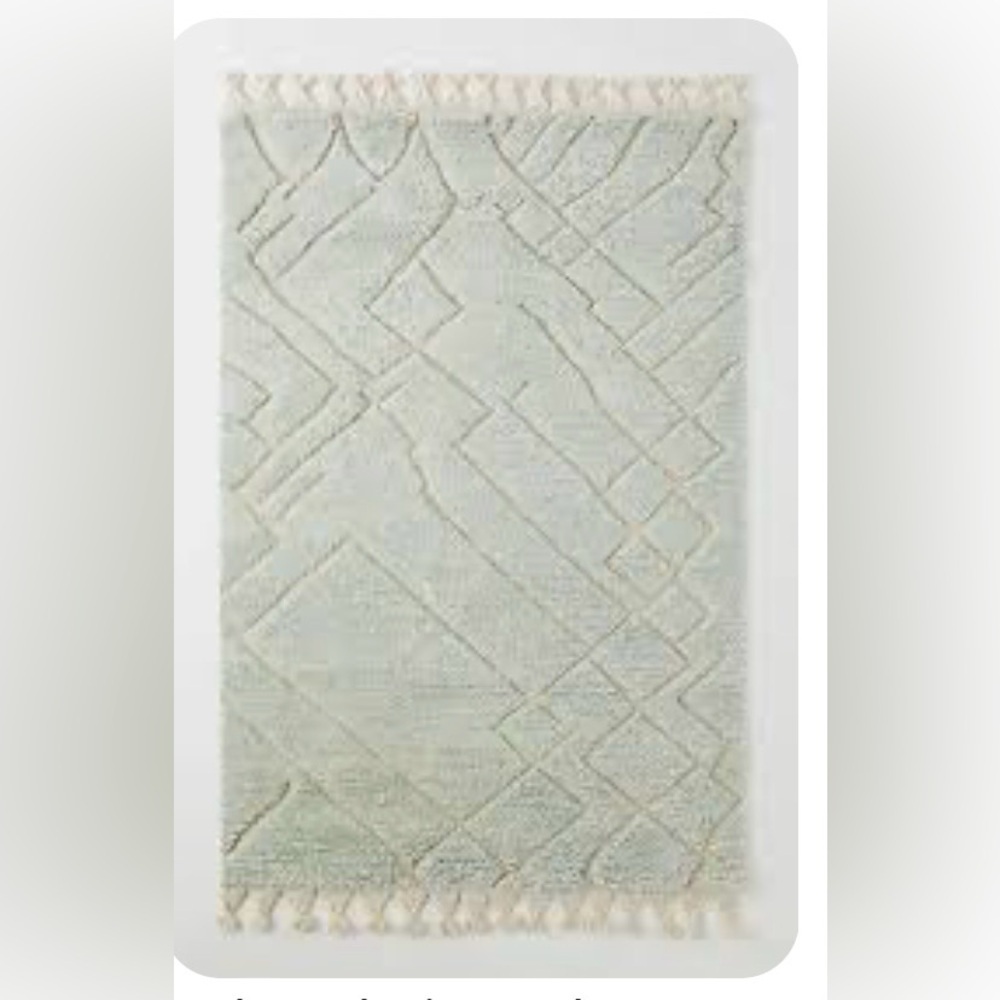 Anthropologie Handwoven Maran Shag Rug 2 x 3 NEW
